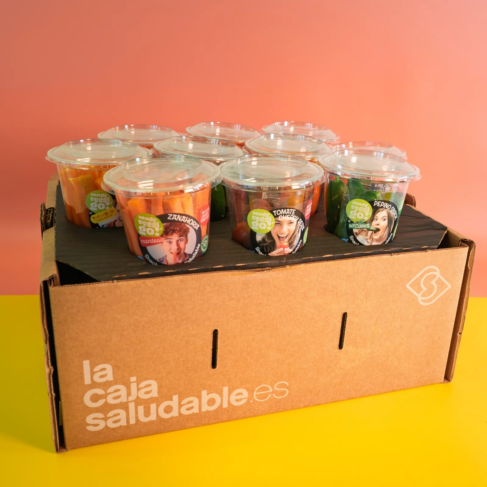 Pack de snacks BIO saludables para llevar "La caja saludable"