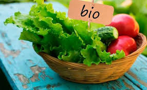 Alimentacion BIO